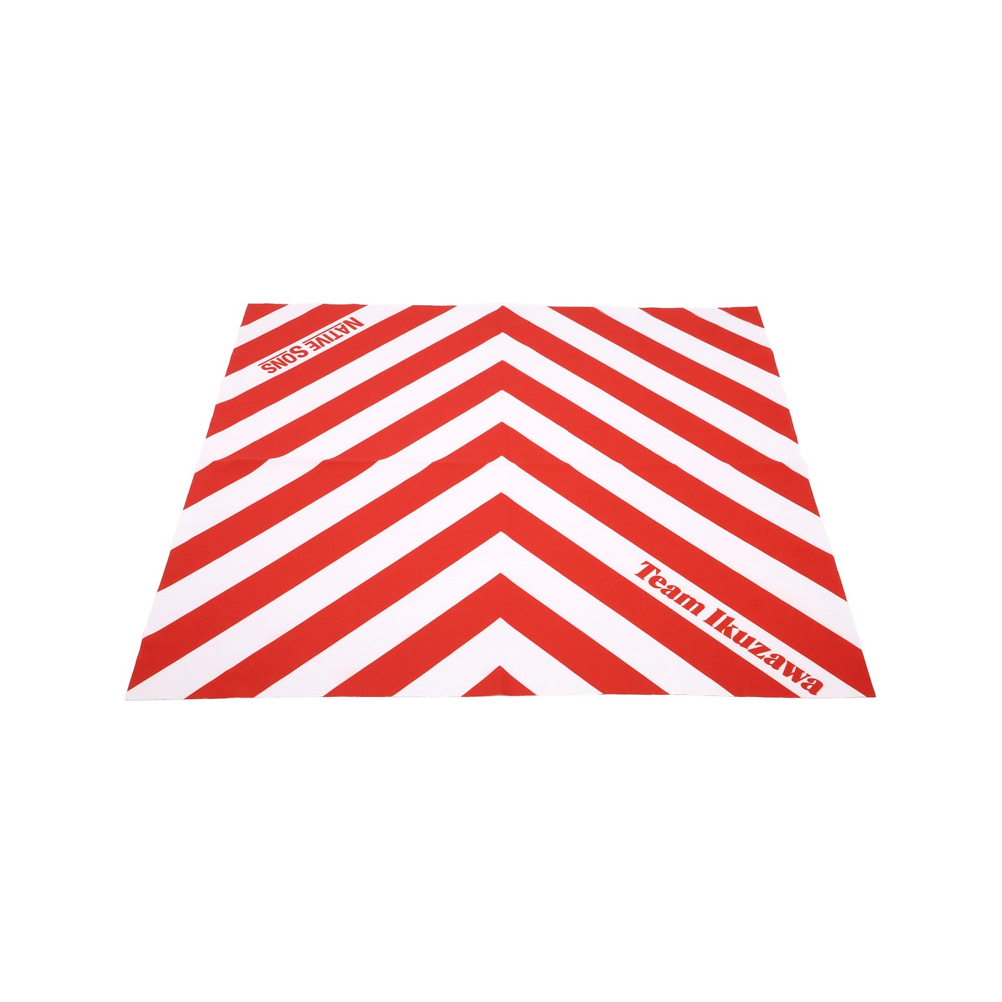 Native Sons x Team Ikuzawa Sunglasses - Made in Japan (Gasoline)
