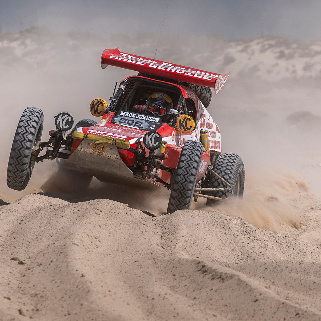 Team Ikuzawa x Ornamental Conifer x Mack Johnson