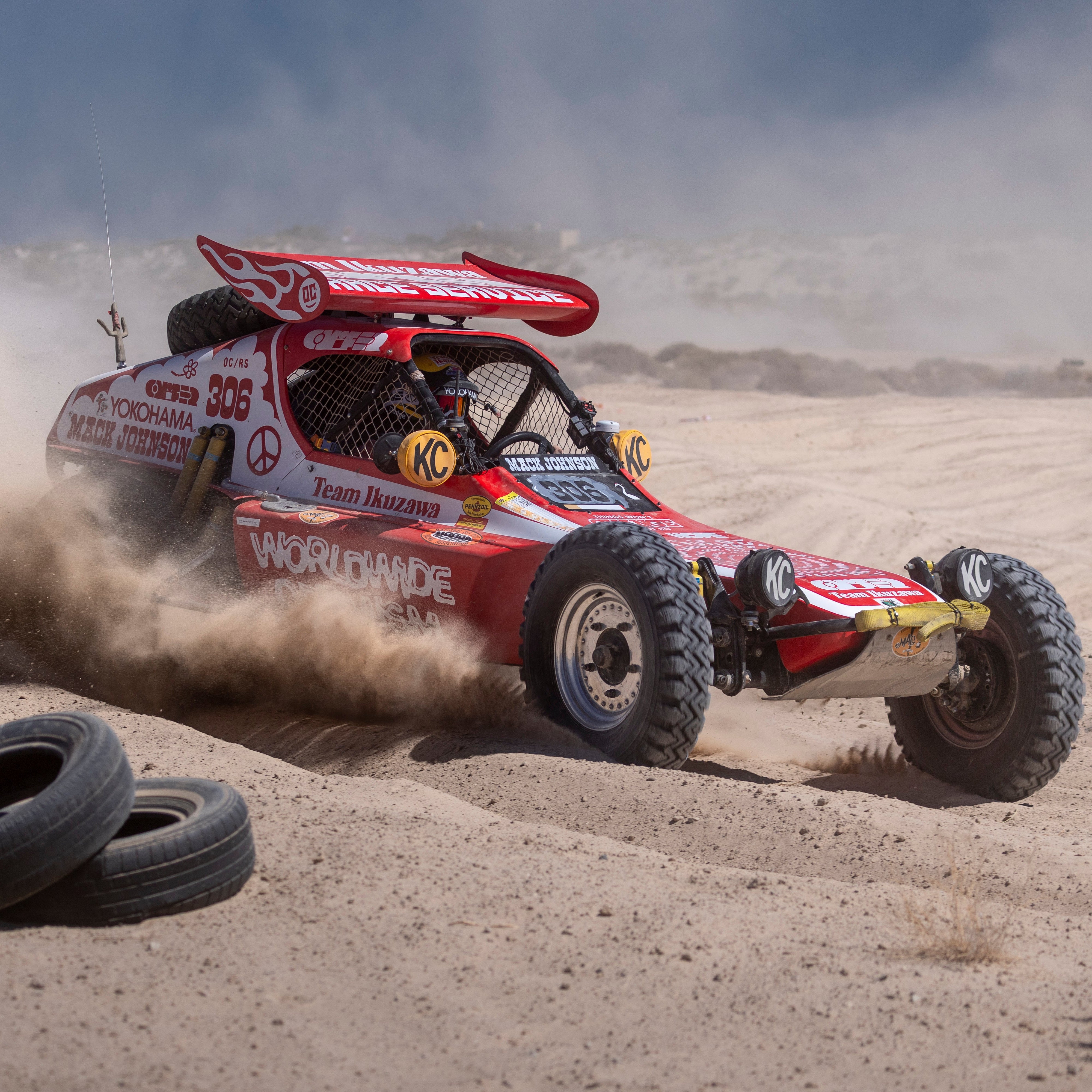 Ornamental Conifer x Team Ikuzawa x Mack Johnson Cotton Long-sleeve T-